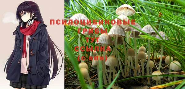 стафф Покровск