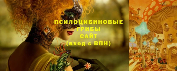 не бодяженный Ветлуга
